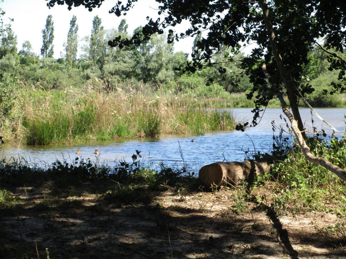 Espace Nature Studio Independant Proche Du Parc Des Oiseaux Sainte-Olive Kültér fotó