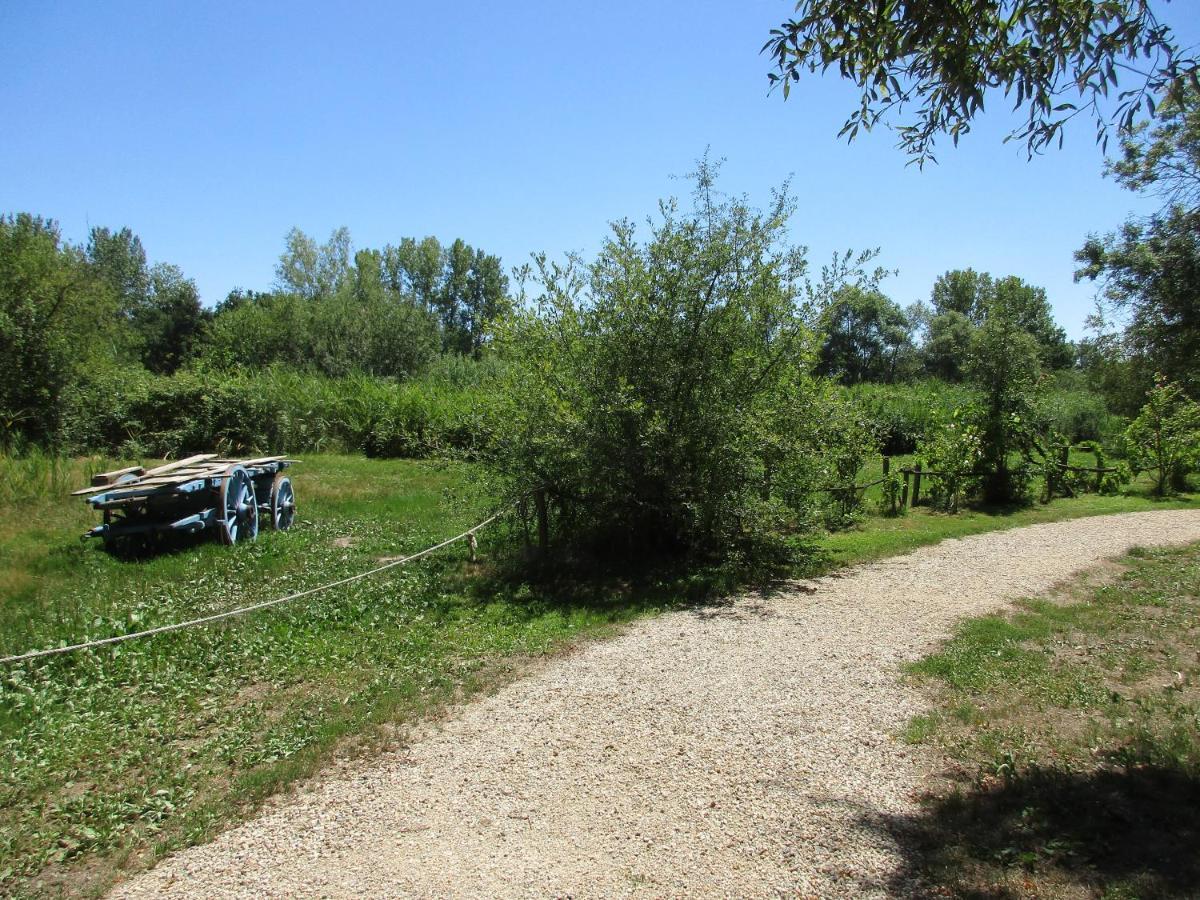 Espace Nature Studio Independant Proche Du Parc Des Oiseaux Sainte-Olive Kültér fotó
