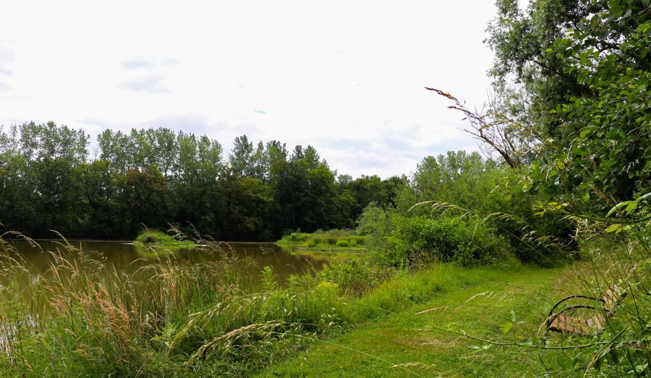 Espace Nature Studio Independant Proche Du Parc Des Oiseaux Sainte-Olive Kültér fotó