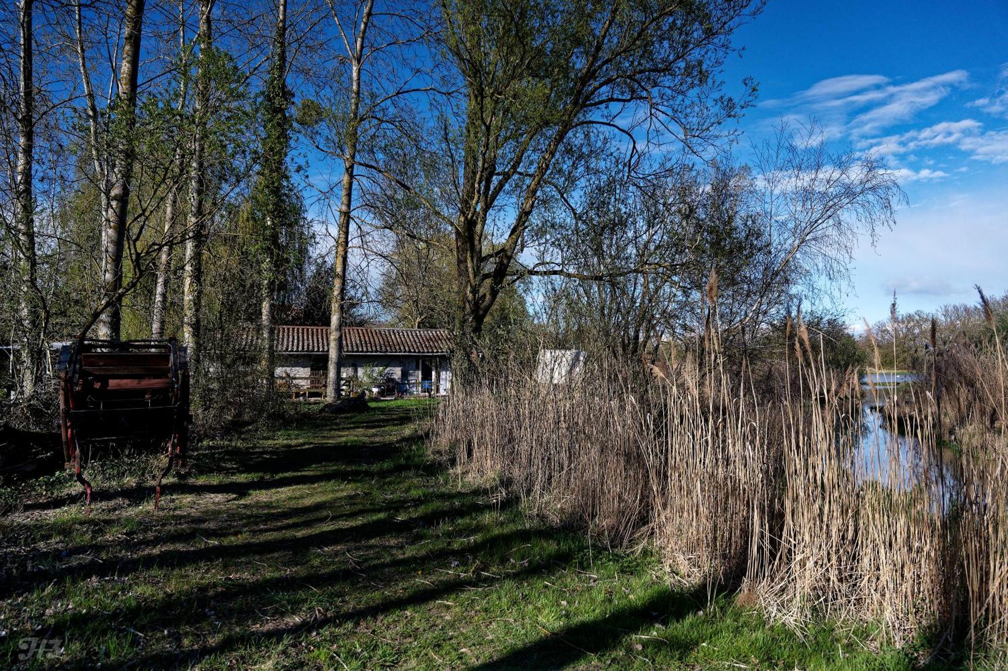 Espace Nature Studio Independant Proche Du Parc Des Oiseaux Sainte-Olive Kültér fotó
